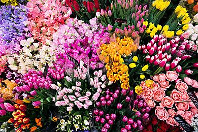 《Rock Paper Scissors》原型版免费发布 合理互殴游戏